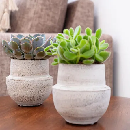 Sonia's Ναζαρέ